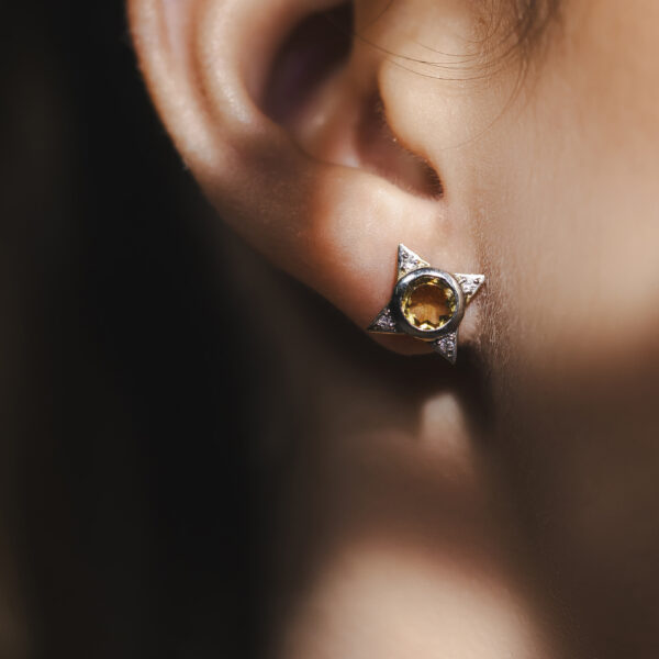 Brinco Traços Estrelado